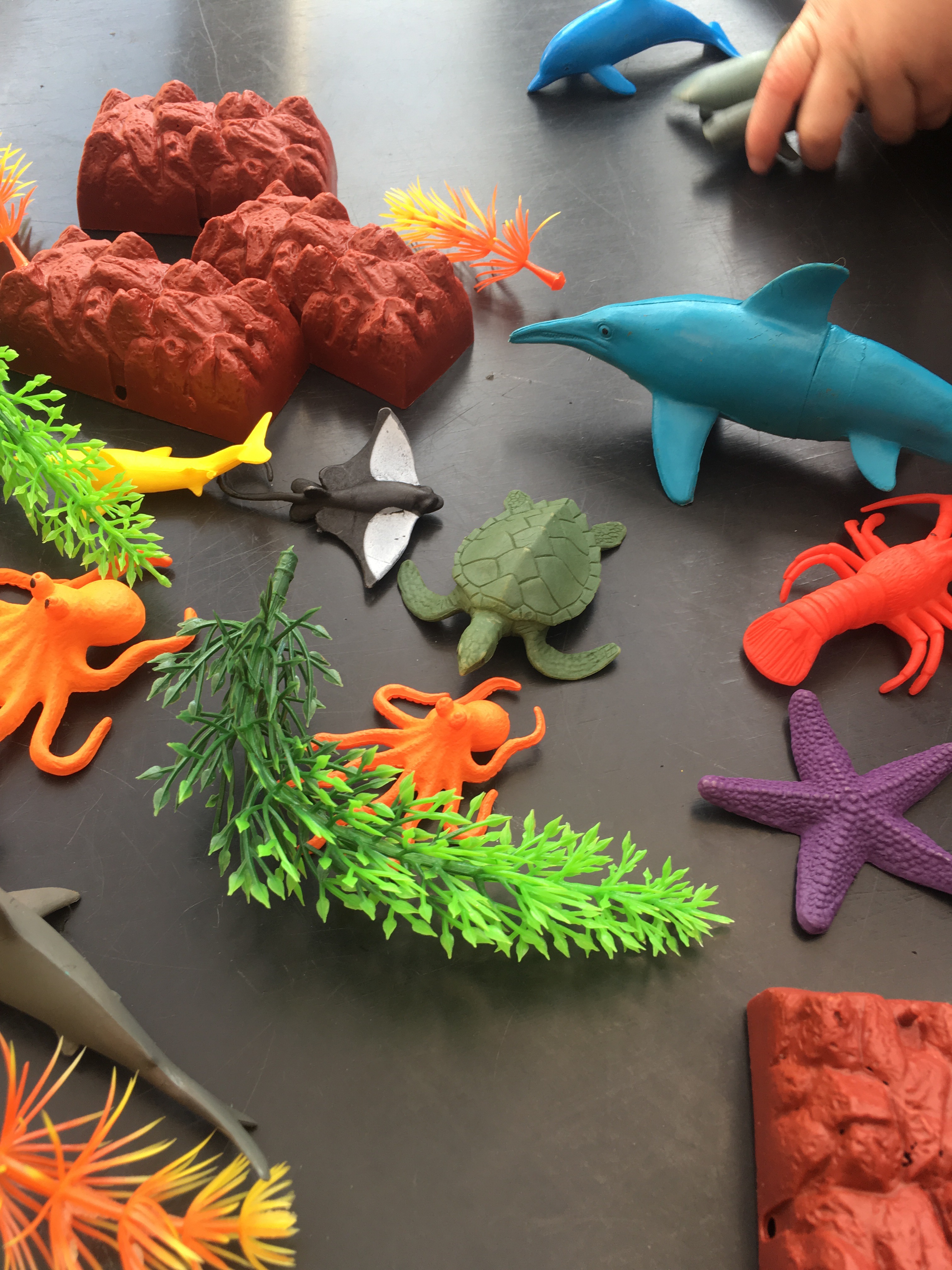 sea creature toy videos